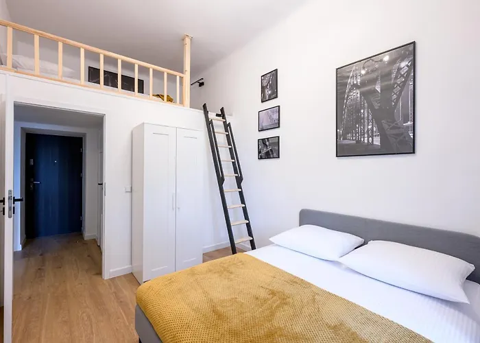 Native Paulinska 20 Deluxe